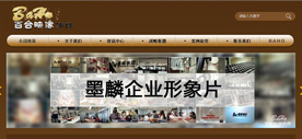 深圳市百合映像传媒有限公司