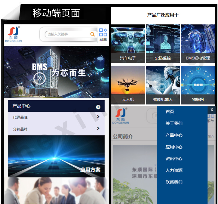 东顺微电子网站制作展示图片2