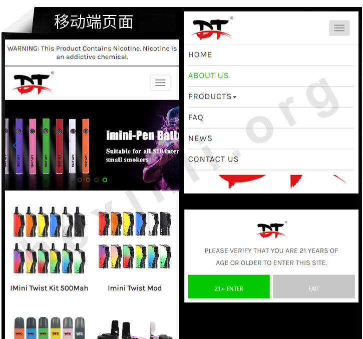 Dtranscend电子烟网站制作展示图片2