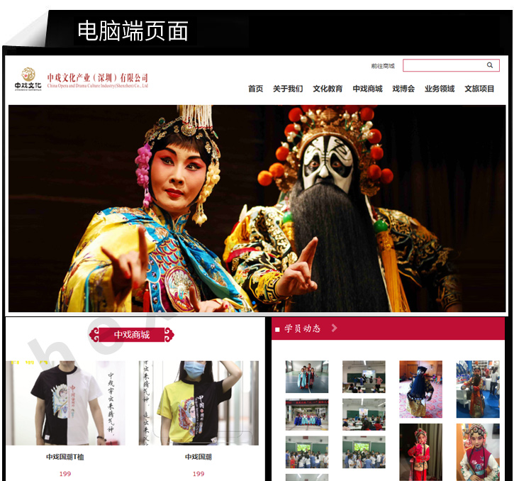 中戏文化网站制作展示图片1
