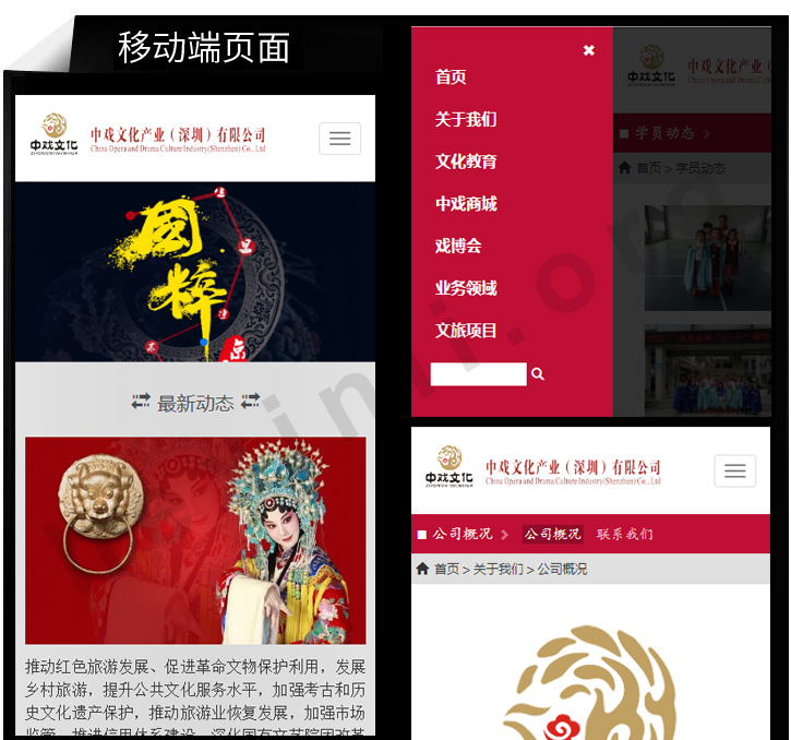 中戏文化网站制作展示图片2