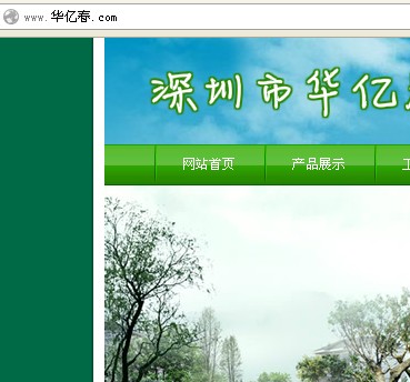 我们的客户案例中使用中文域名的网站